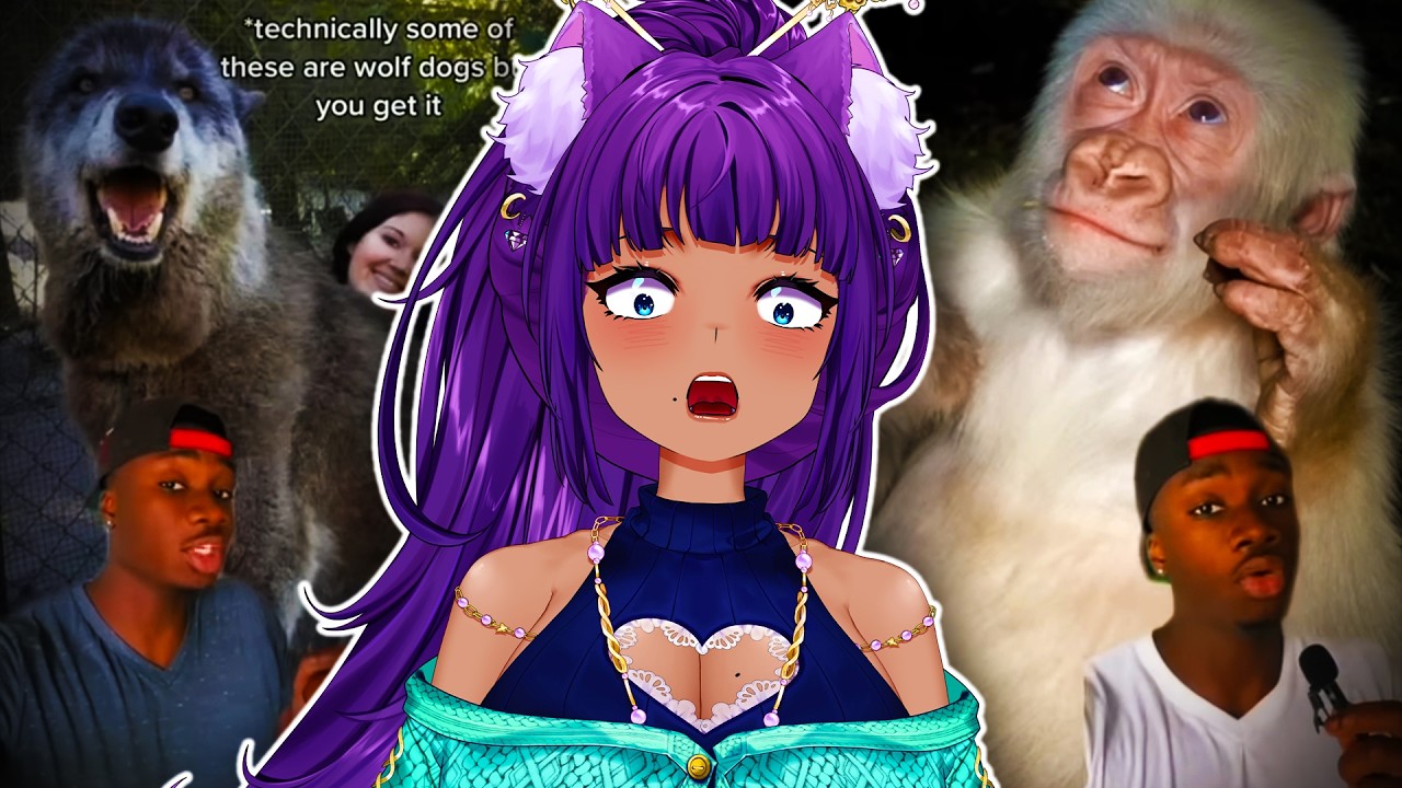 ALBINO GORILLA?! || Casual Geographic Reaction