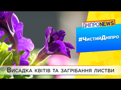 Толока у Дніпрі: як наближають весну дніпряни