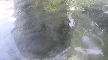 Does anyone have funimate if so can we chat?