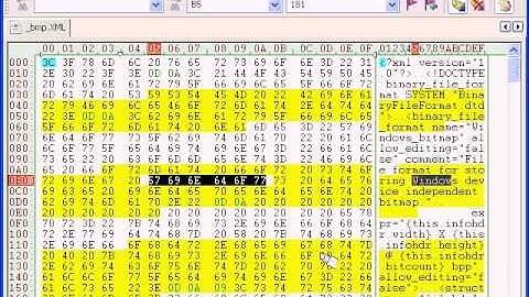 ViewHighlighterHexEditDemo.avi