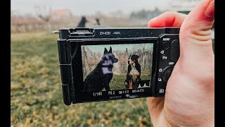 Fotenie Psov 18 - 200Mm F3,5 Pov