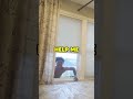 IShowSpeed JUMPS out of WINDOW.. 🤣