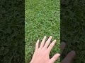 Rfs youtuber touches the grass bad ending  shorts