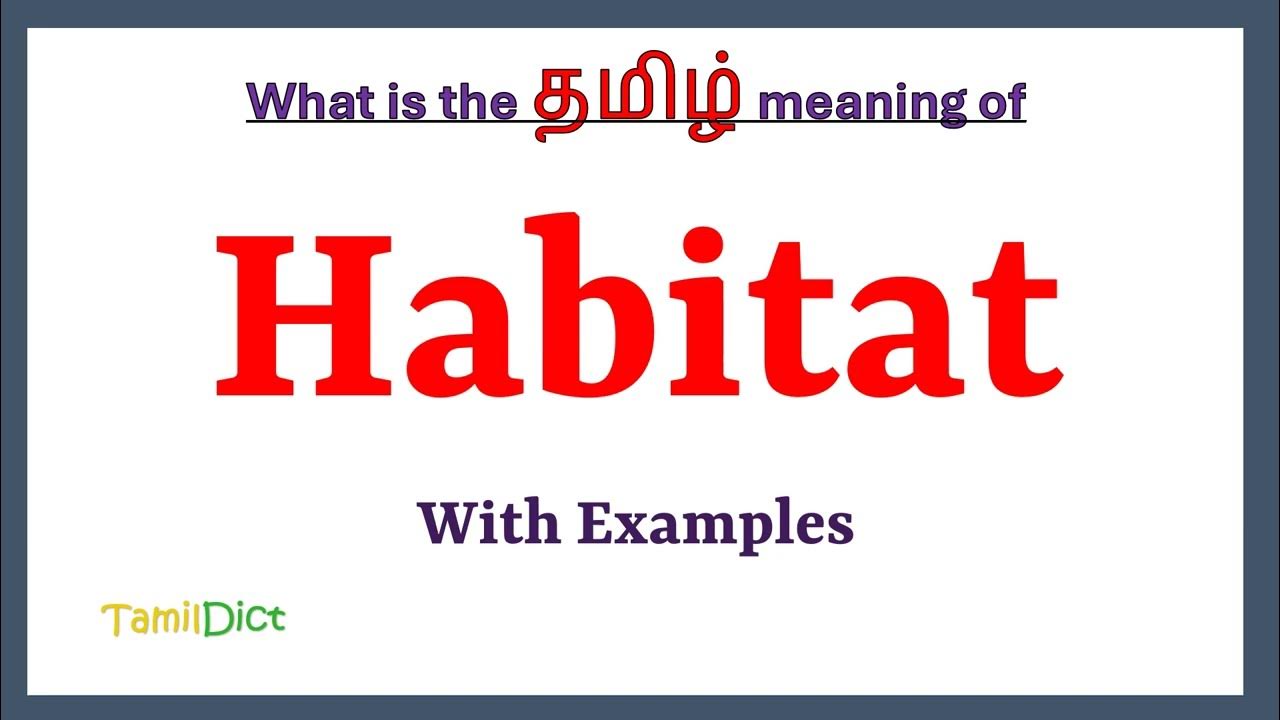Habitat Meaning In Tamil Habitat In Tamil Habitat In Tamil habitat-meaning-in-tamil-habitat-in-tamil-habitat-in-tamil