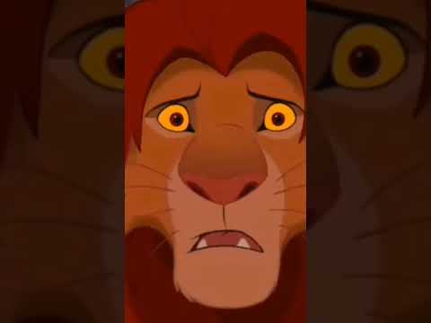 سيمبا خد نضرة حسد بس ابو ميت اسد