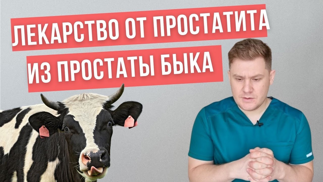 что лучше витапрост или простамол уно отзывы что лучше витапрост или простамол уно отзывы