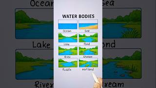 Types Of Water Bodies