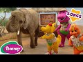 Old MacDonald, Bingo   More Animal Songs and Nursery Rhymes For Kids | Barney the Dinosaur