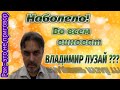 Наболело😬 Во всем виноват Владимир Лузай ❓❓❓❓