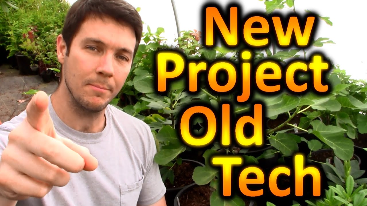 New Fig Cuttings Experiment and a Fig Orchard Tour | Simplifying the Propagation and Rooting of Figs