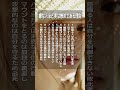 嫌な人ほど実は惨めである理由 #老後の幸せ #名言