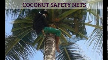 BALCONY SAFETY NETS, ANTI BIRD NETS IN BANGALORE_JEEVAN ENTERPRISES Call 9900706045