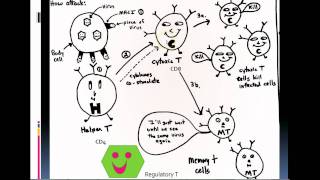 Cell Mediated Immunity