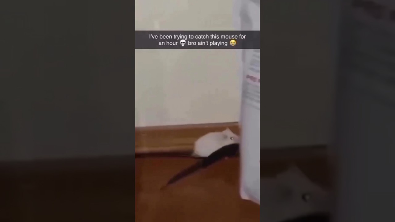 Stuart Not Playing About His Money! 