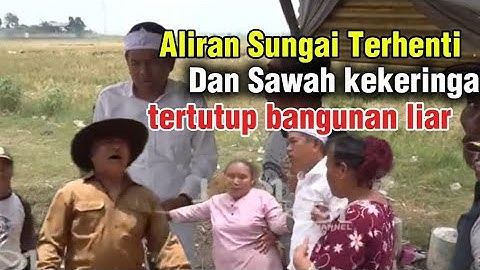 Aliran Sungai Terhenti Dan Sawah kekeringan tertutup bangunan Liar 