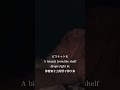 「せっかくならあなたが守ってくれればな」Heavenstamp / 愛を込めて、ウェンディ #shorts