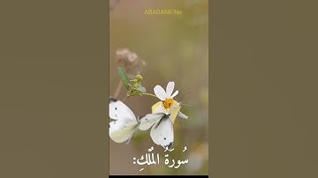 تلاوة خاشعة #quran #القرآن_الكريم #2023 #tiktok #تلاوة_خاشعة #عبدالرحمن_مسعد