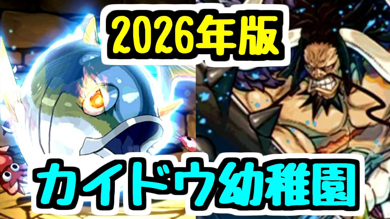 【ブリ入ってます】2026年版カイドウ幼稚園のサブはこんなに強い！【パズドラ】