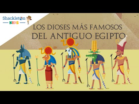 Conoce a los