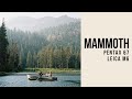 Mammoth - Pentax 67 &amp; Leica M6