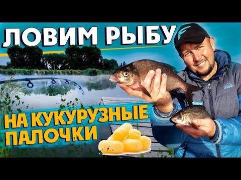 Ловим рыбу на кукурузные палочки. Как ловить на фидер в холодное время года.
