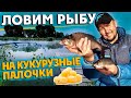 Ловим рыбу на кукурузные палочки. Как сделать сухую добавку дома? Рыбалка на фидер.