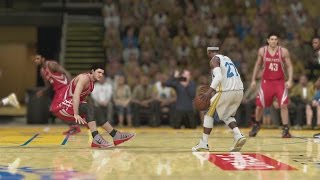 NBA 2K14 My Career - Schmidt Plays W/ Broken Hand S2QFG1 PS4