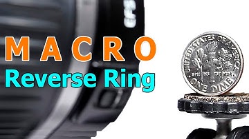 Discovering the Microworld With Lens Reverse Ring Adapter