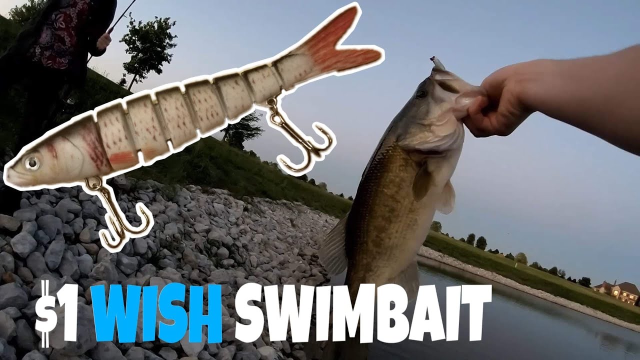 $1 Wish Swimbait Review/Fishing