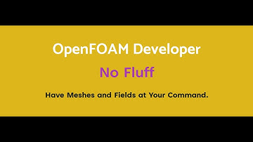 Step-by-Step OpenFOAM C++ Training | Mesh Generation & PDE Solver Development