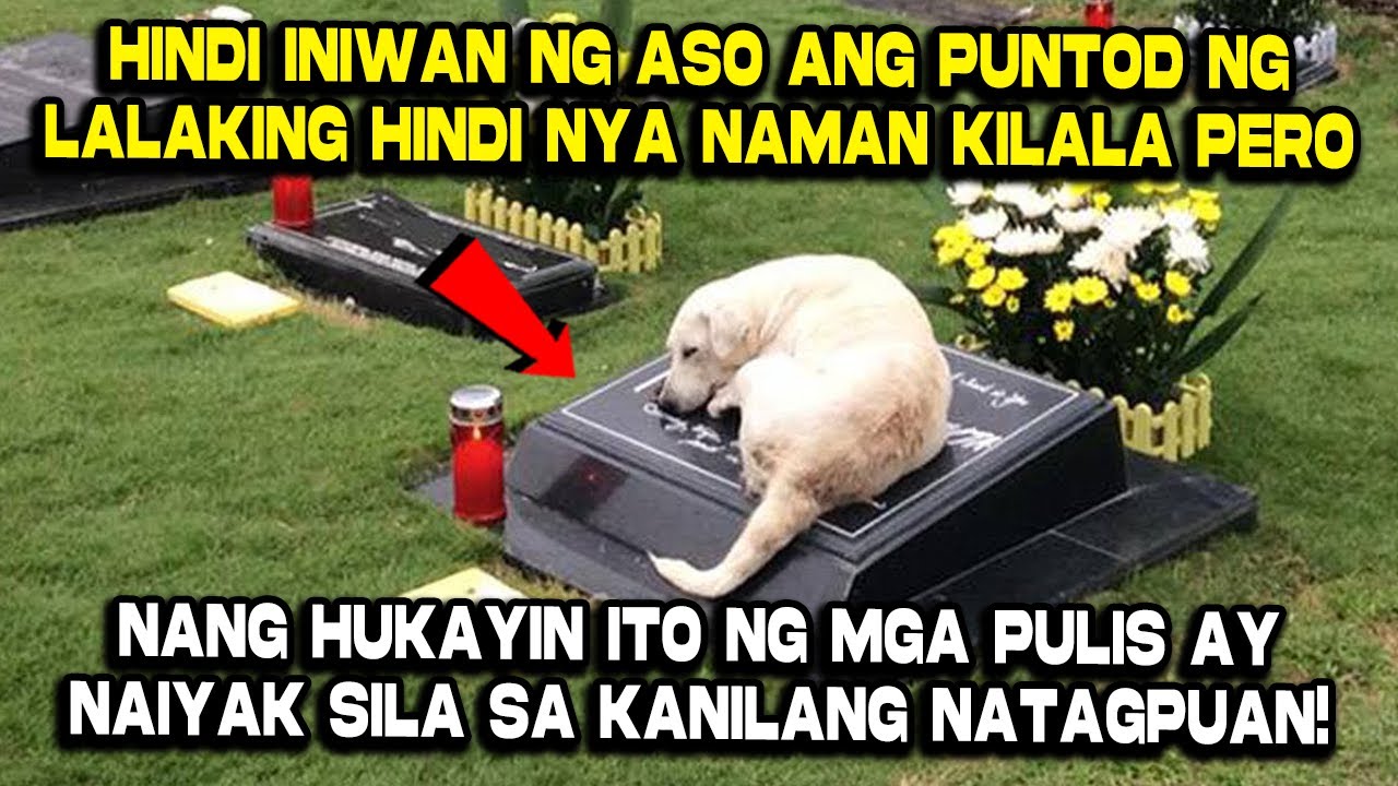 Outline Video Hindi Umalis ang Aso sa Puntod ng Lalaking Hindi nya Kilala, Hanggang sa...