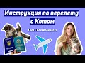 Самое детальное видео о ПЕРЕЛЕТЕ с КОТОМ | Наш переезд с кошкой Киев - Сан-Франциско, США | ЧЕК-ЛИСТ