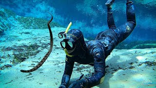 Encountered SNAKES 🐍 Underwater Metal Detecting + Freediving Florida Springs - FOUND LOST RING!!! 💍