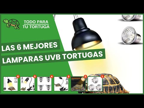Las 6 mejores lamparas uvb tortugas