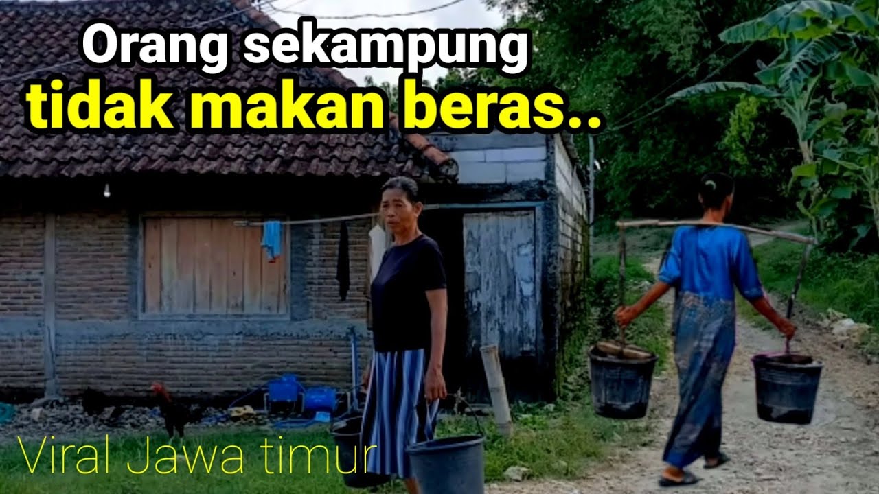 Dusun Kampung tidak makan beras Pedesaan Bojonegoro sisi selatan sebelah hutan jarang menanam padi.