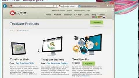 ES01 01 Wilcom TrueSizer