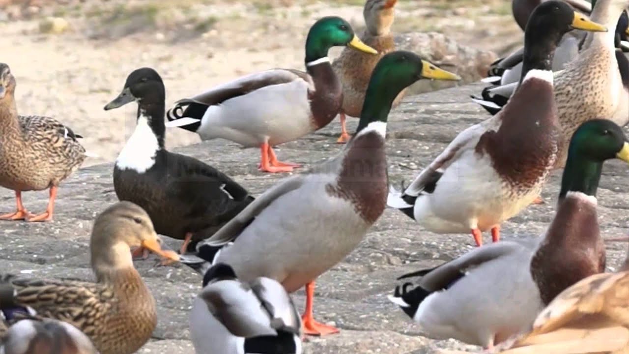 dem alltag entfliehen und ruhe einkehren lassen.