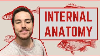 Ichthyology Lesson 4 - Internal Anatomy