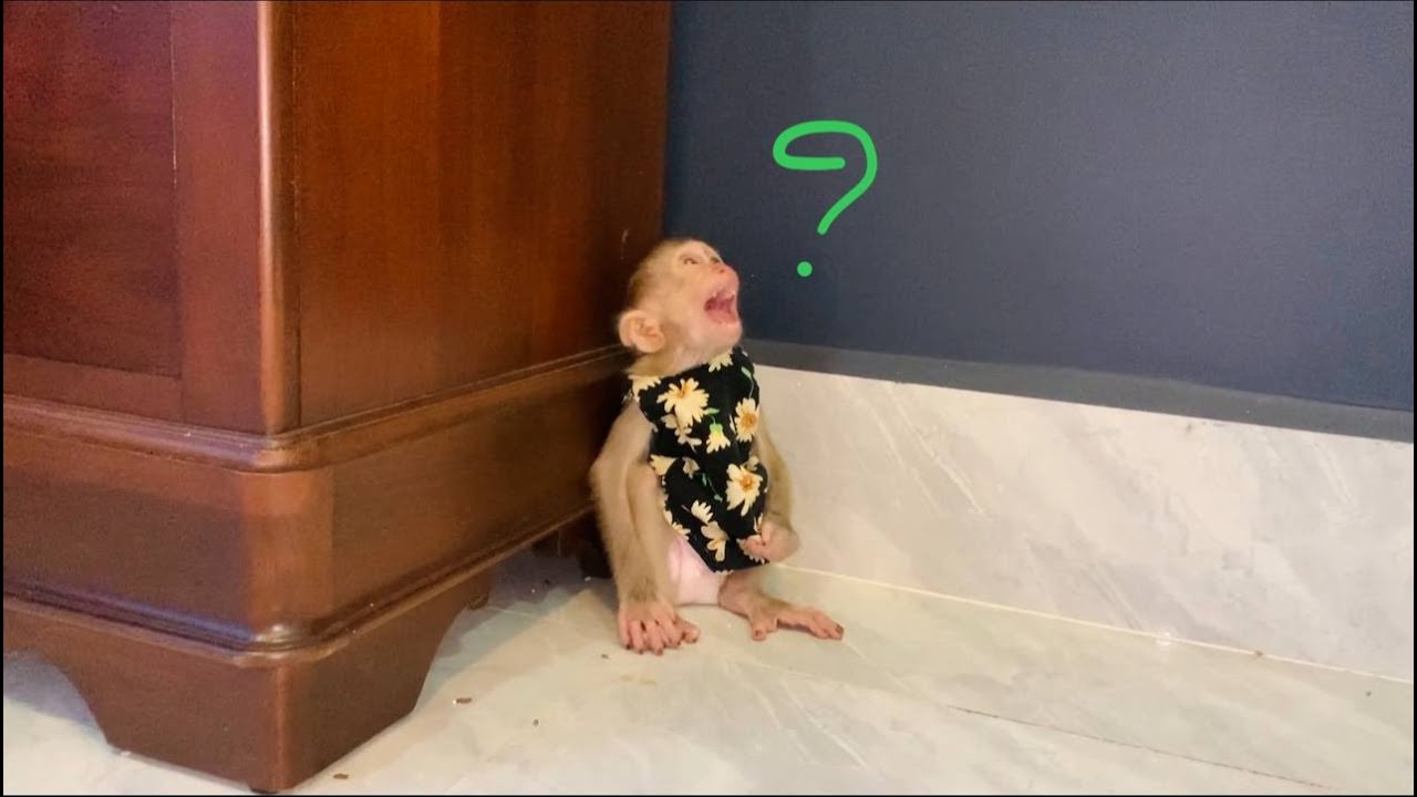 Jasmine C..yii loud look like she meetinq a m0n....