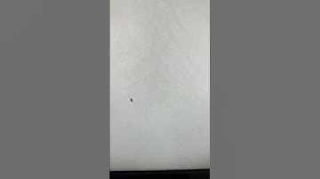 How to reprint Amazon FBA shipping labels, step-by-step #amazonbusiness ￼