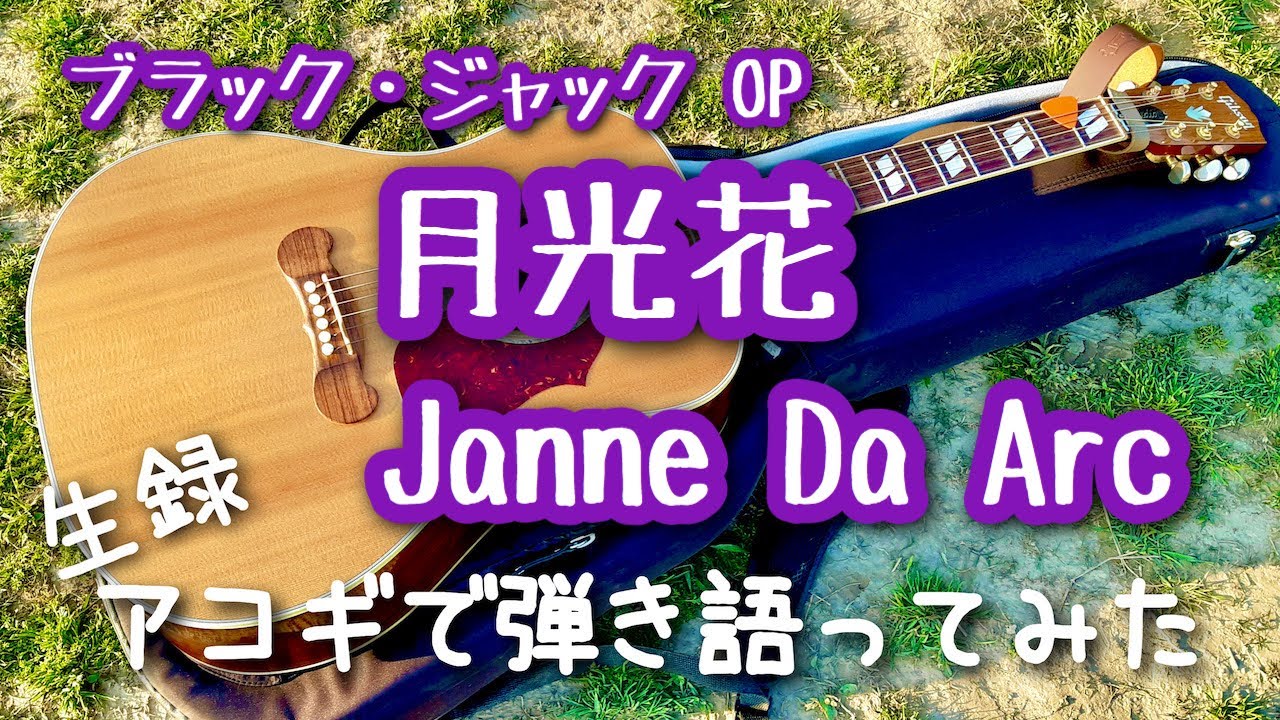 ブラック ジャック Op 月光花 Janne Da Arc 弾き語りカバー 江戸川 丸山詩乃 Chords Chordify
