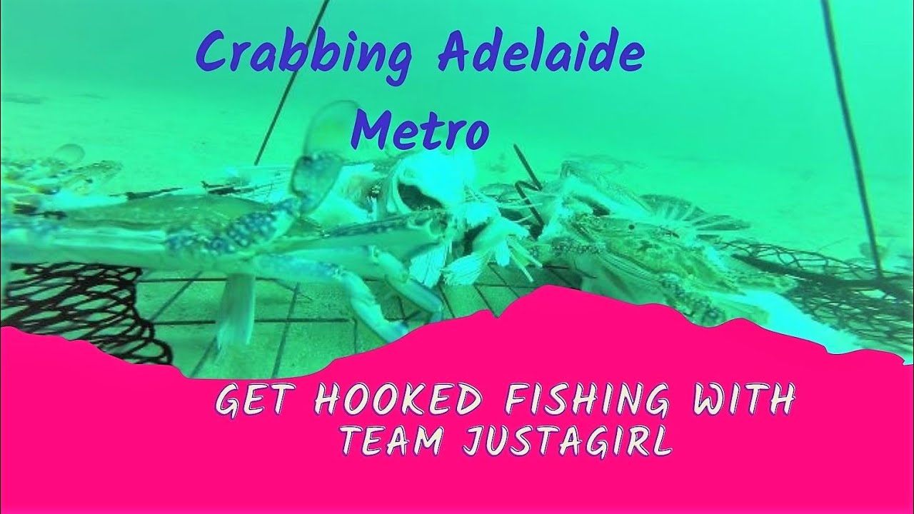 Blue Swimmer Crabs Adelaide Metro What they do in the net YouTube