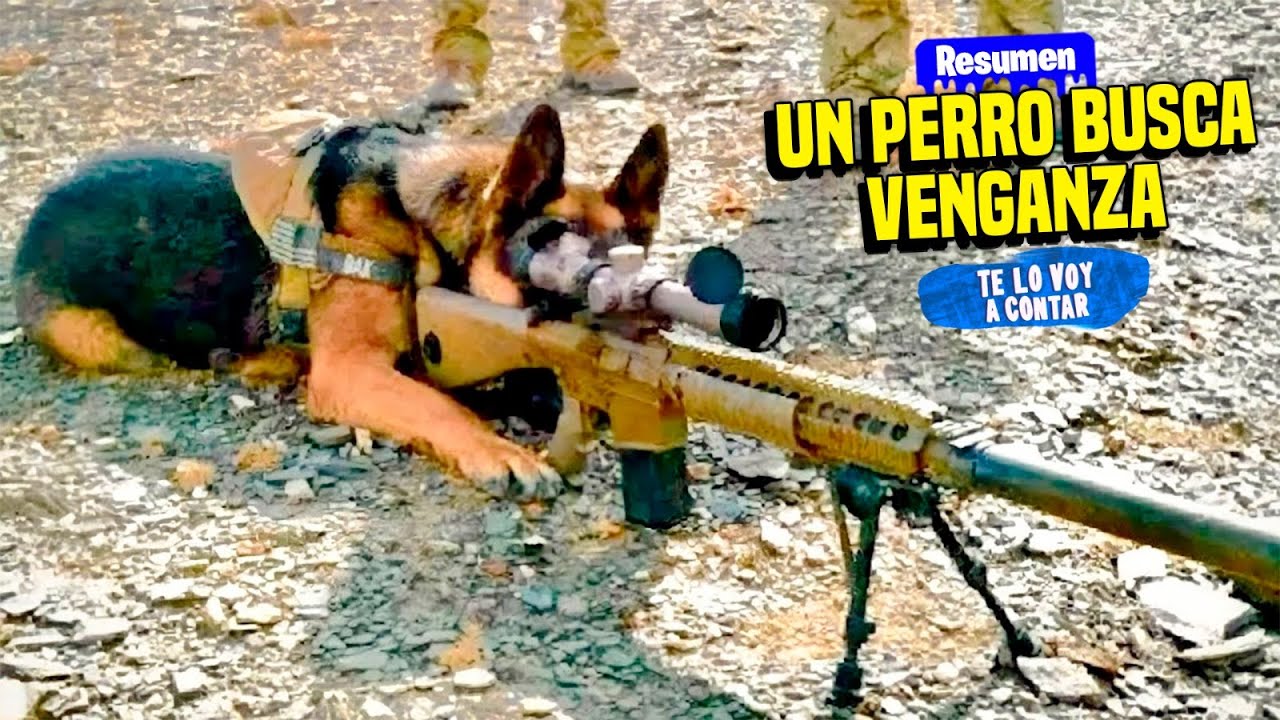 👆 DURANTE 12 AÑOS, UN PERRO ES ENTRENADO PARA SER LET4L Y BUSCA VENGANZA POR SU DUEÑO | RESUMEN