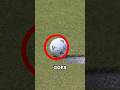 The Luckiest Golf Shot Ever Caught on Camera 🍀(@pgatour)