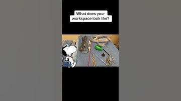 A Glimpse Inside a Surgeon