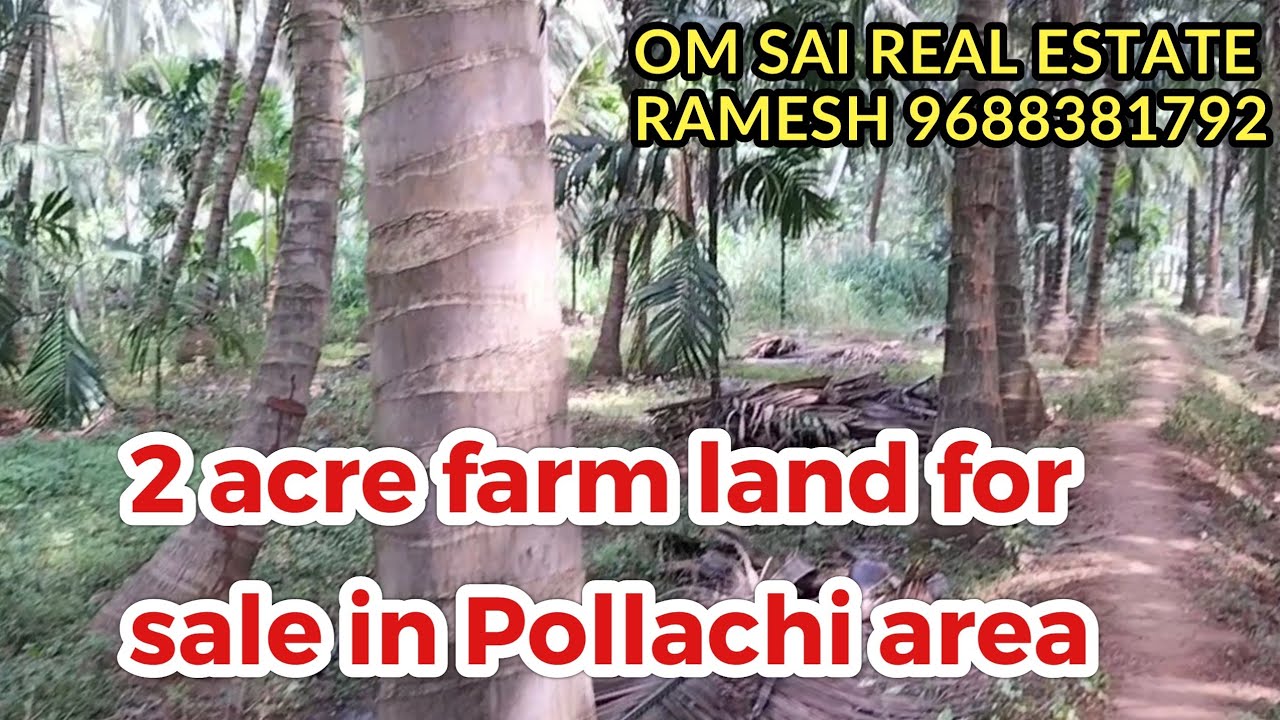 395) 2 acre farm land for sale in Pollachi Near YouTube