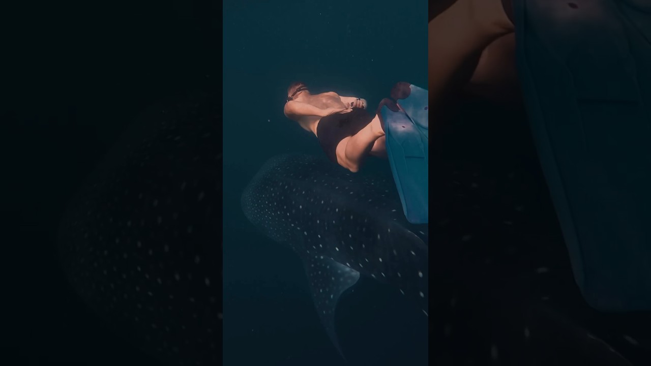 Chasing the adventure 🤟🏼