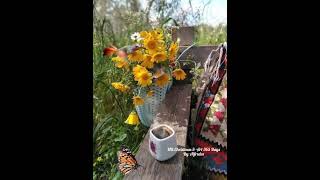 Download Lagu Beautiful morning 🌄 I like chopin Performed By:Mr.undercover MP3 Download Lagu Beautiful morning 🌄 I like chopin Performed By:Mr.undercover MP3