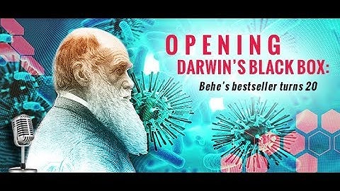 Darwin
