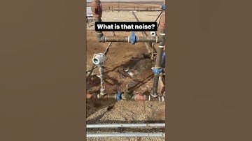 Can you guess what is making that sound? #checkvalve #checkvalves #swingcheckvalve #valve